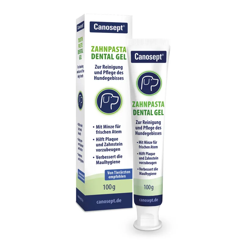 Neue Kollektion Canosept Zahnpasta Dentalgel 100 ml